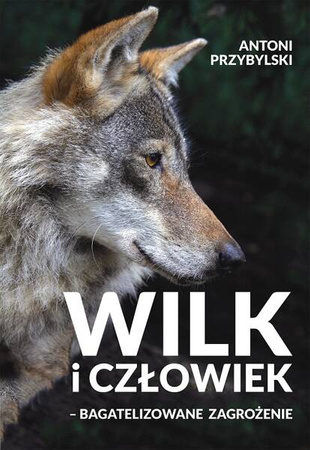 Wilk i człowiek - Bagatelizowane zagrożenie.